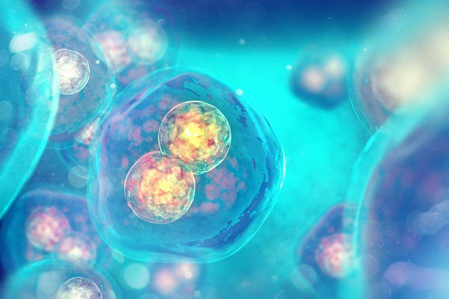 Cellular imaging under analysis